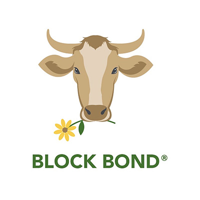 BLOCK BOND