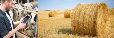 Pour la ferme