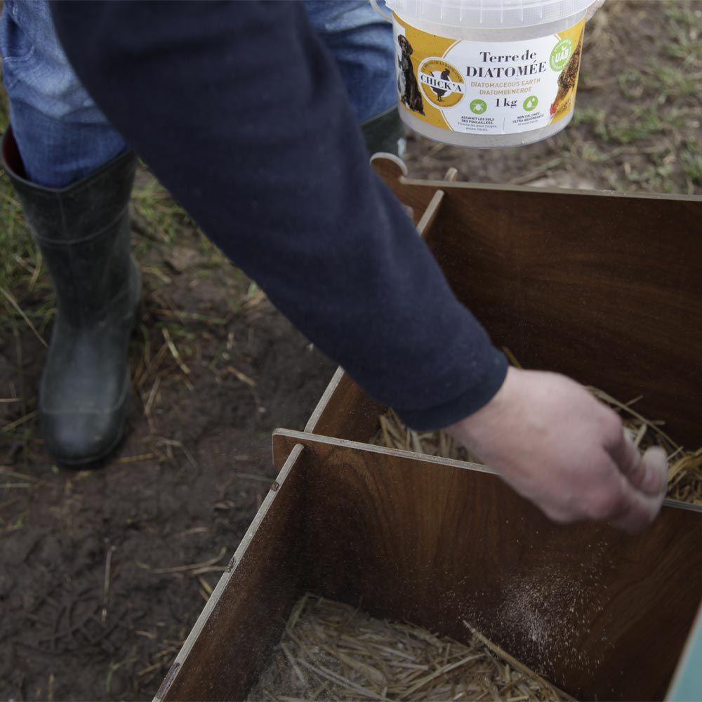 Diatomeenerde (nicht kalziniert) 3 kg CHICK'A