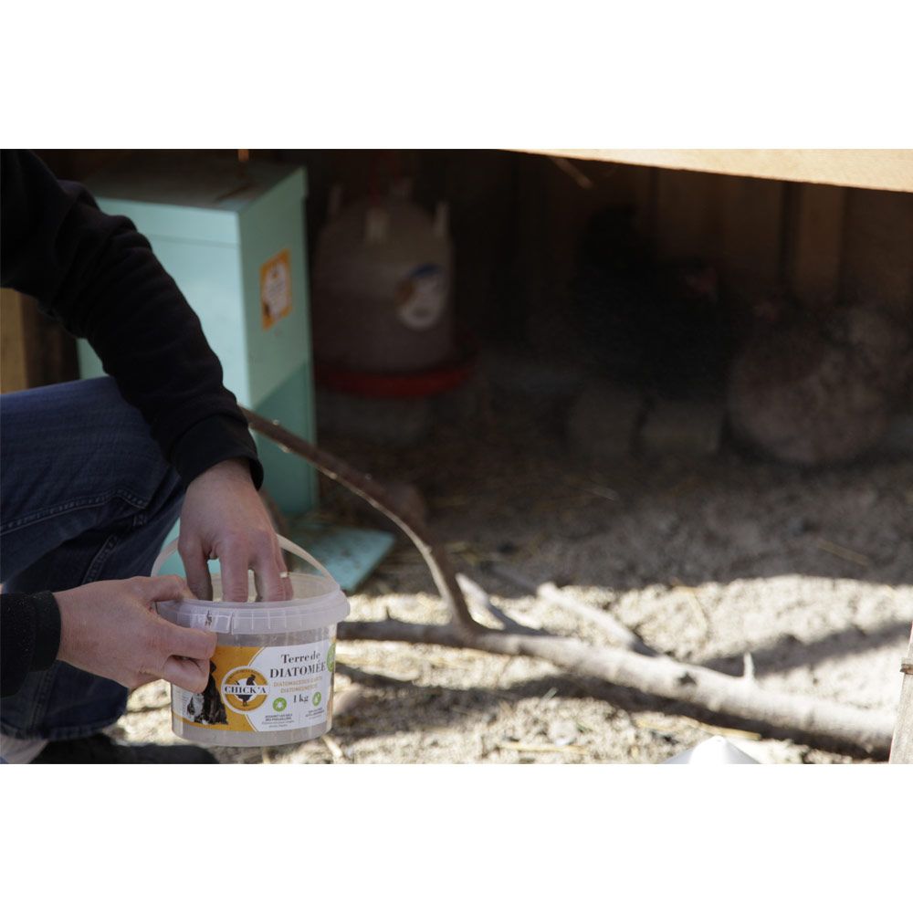 Diatomeenerde (nicht kalziniert) 1 kg