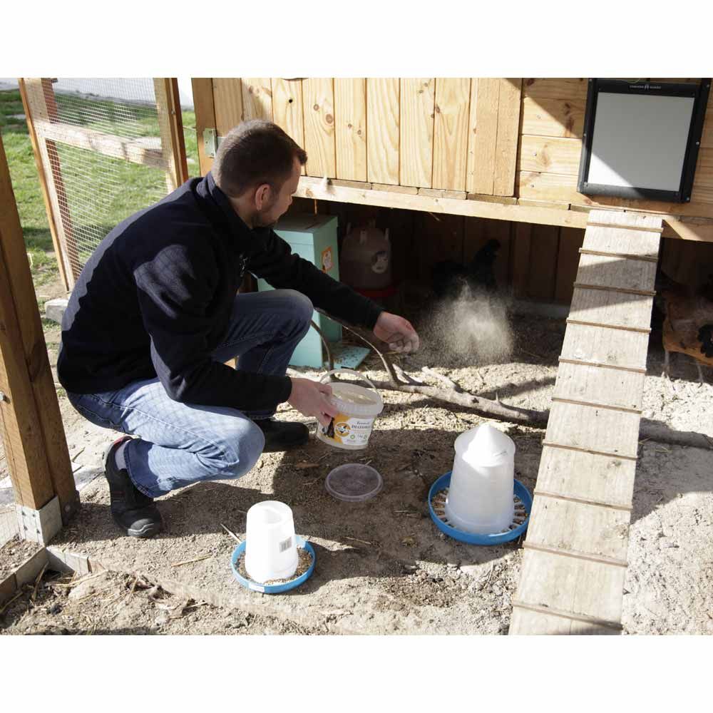 Diatomeenerde (nicht kalziniert) 1 kg