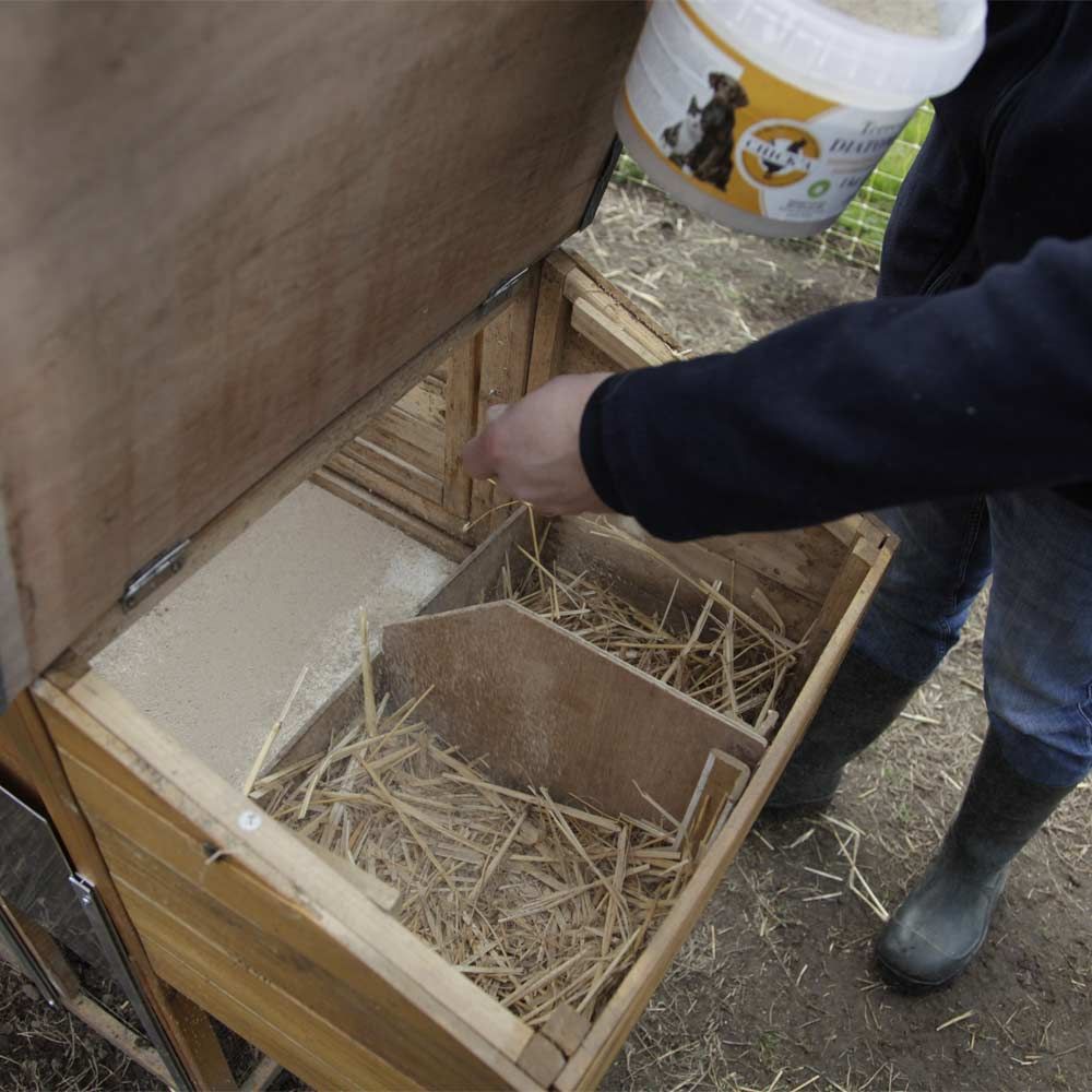 Diatomeenerde (nicht kalziniert) 1 kg