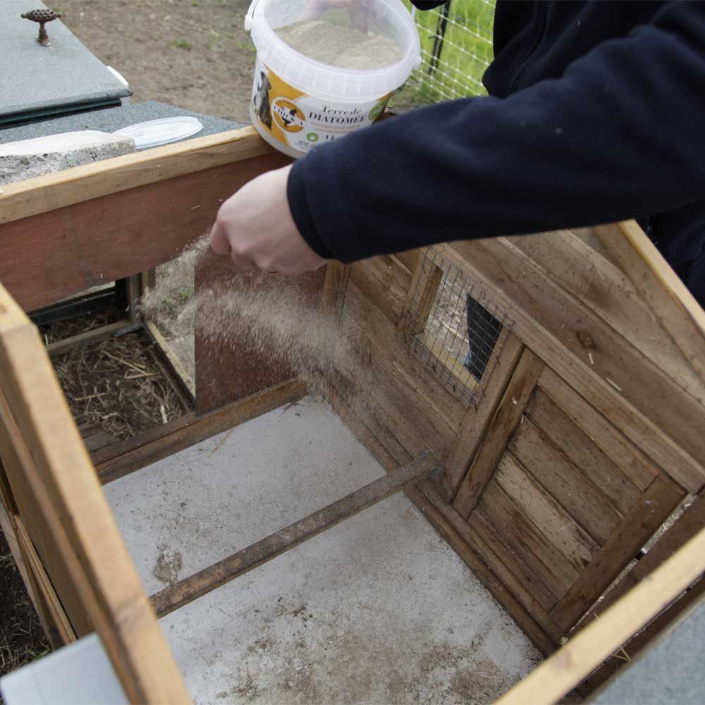 Diatomeenerde (nicht kalziniert) 1 kg