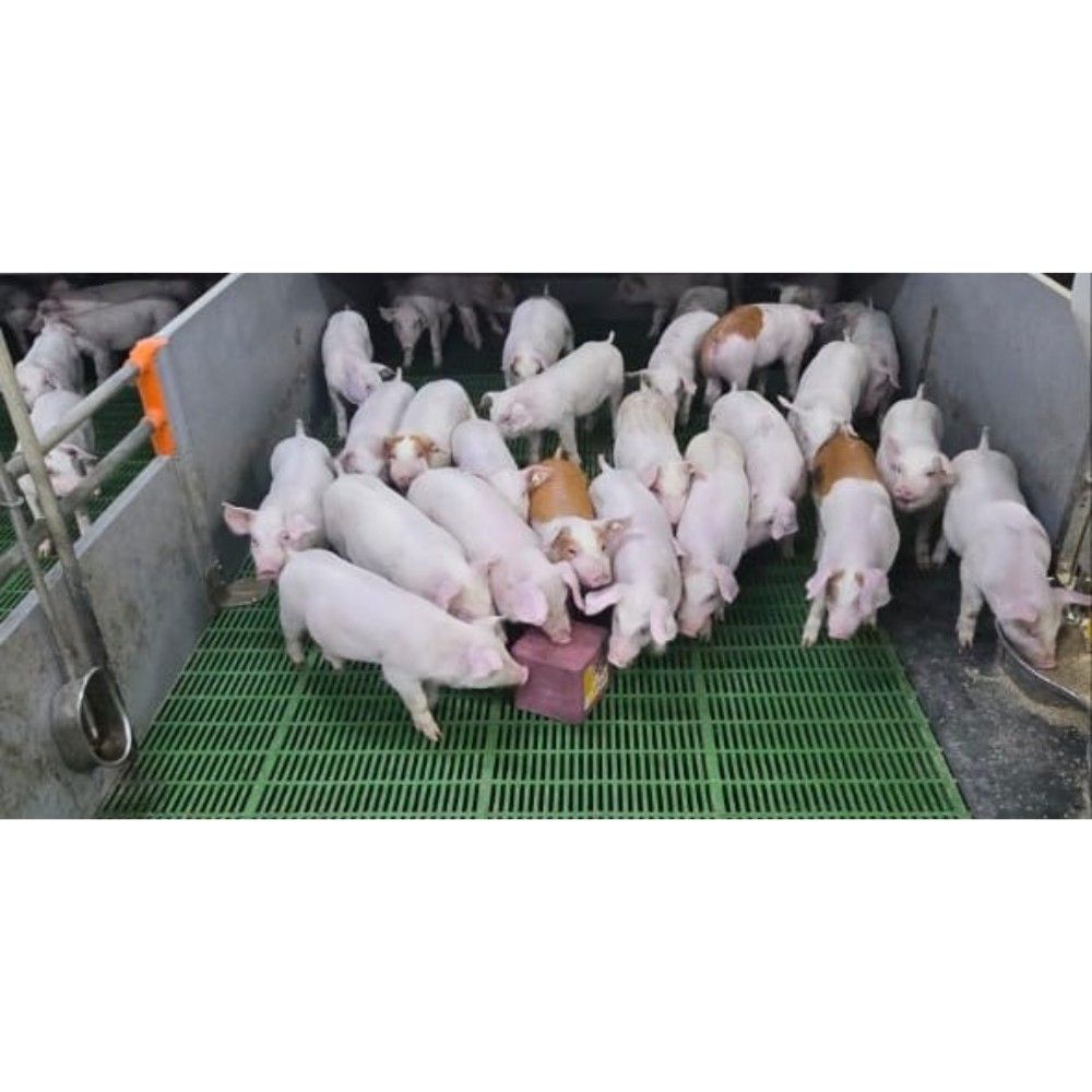  Anti-stress mineral lick block 5 kg IMIMA 