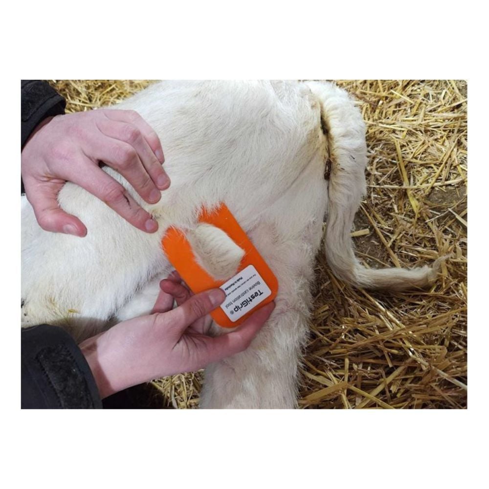 Testi grip pour veaux UKAL