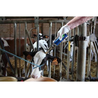 Enthornungsgerät NETHORN 