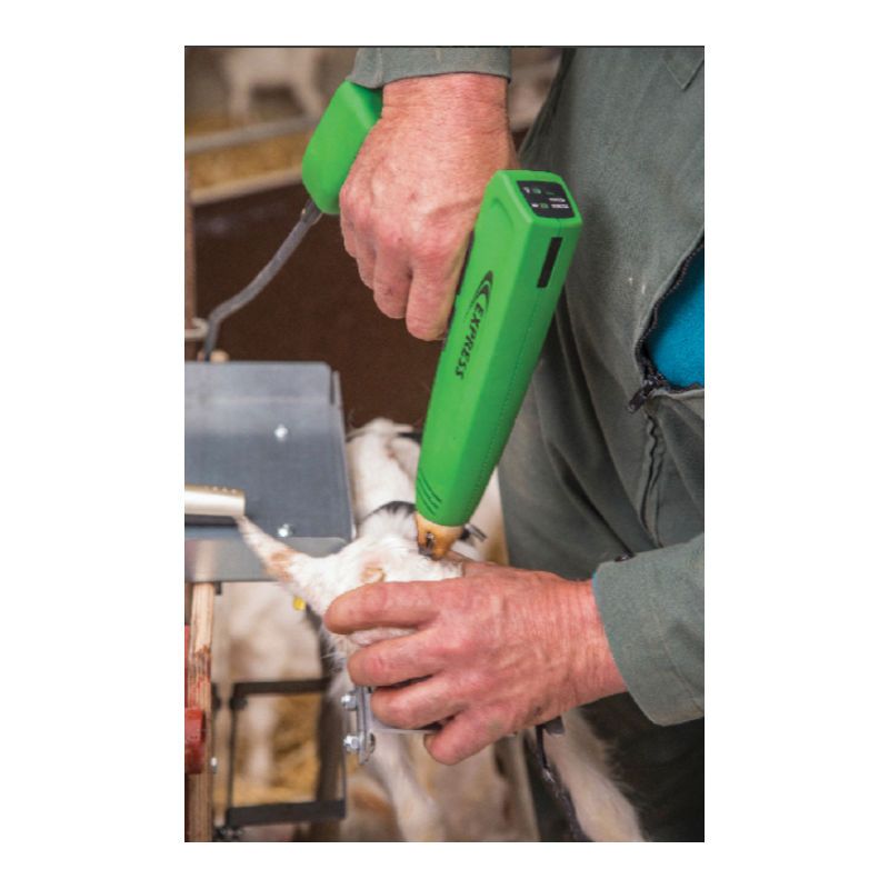 Ecorneur Cosmos pour caprins EXPRESS FARMING 