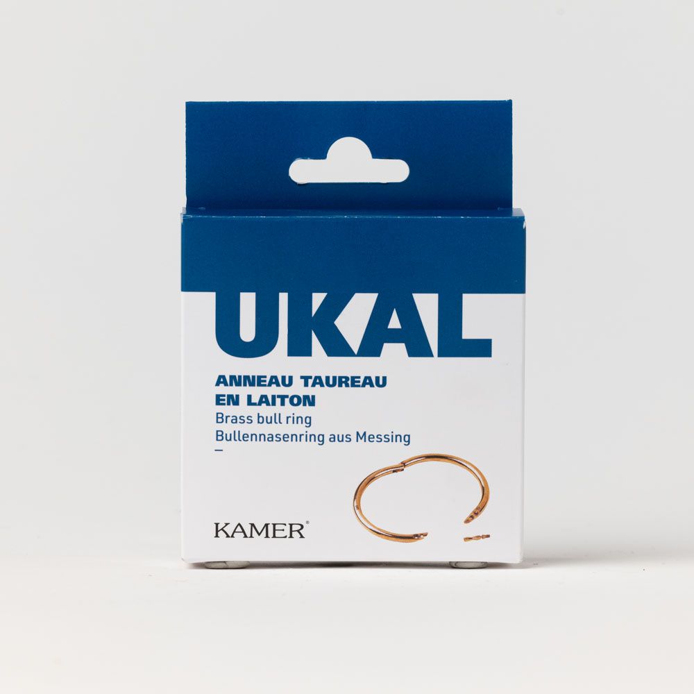 Anneau taureau en laiton diamètre 100 mm