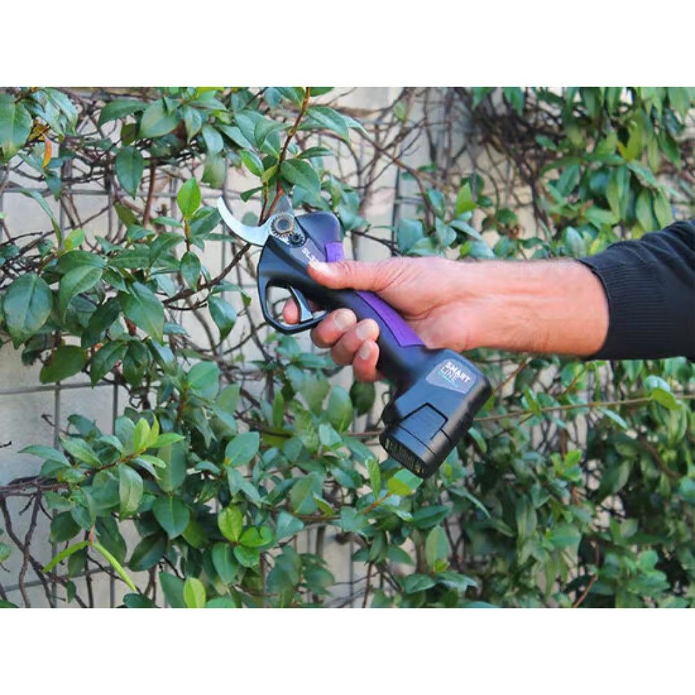 Automatic electric garden shears CAMPAGNOLA
