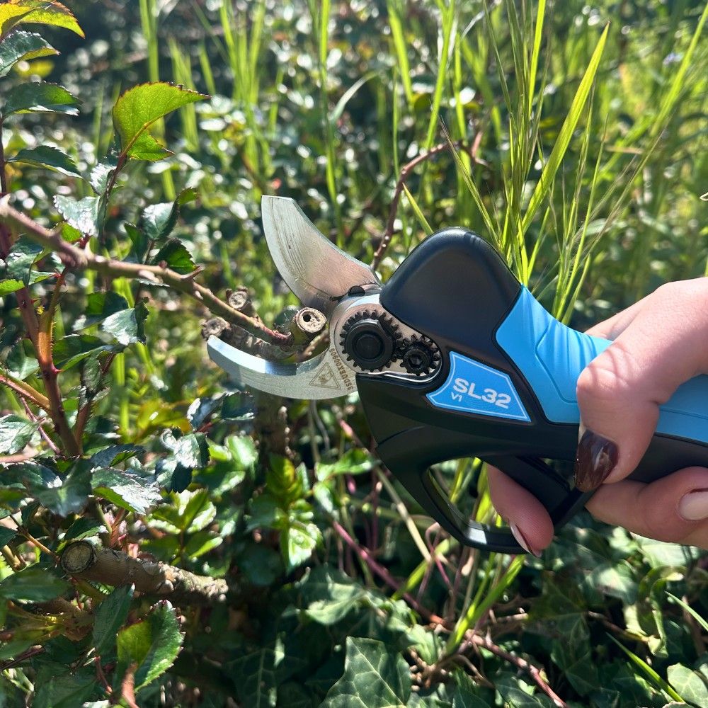 Automatic electric garden shears CAMPAGNOLA