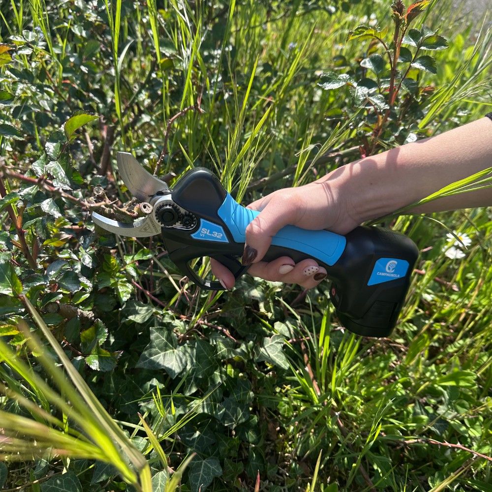 Automatic electric garden shears CAMPAGNOLA