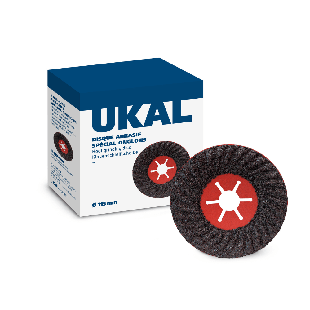 5 Klauenschleifscheiben Ø 115 mm