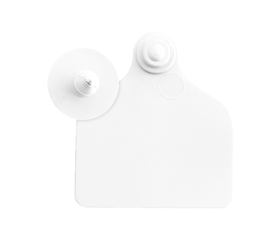 UKAFLEX MAXI + BUTTON eartags white x20