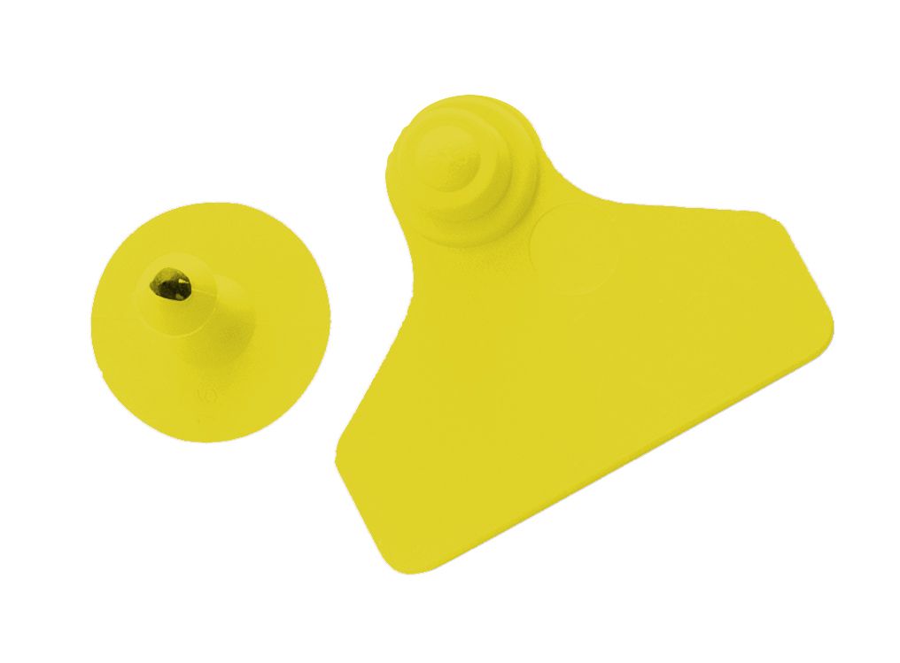 Plain eartag wide + button yellow x20