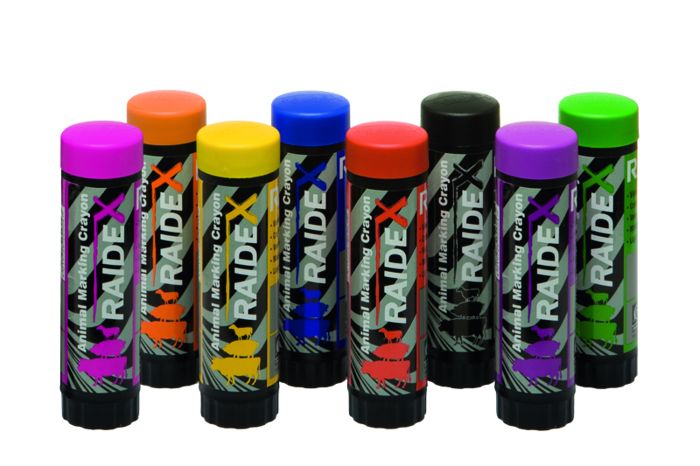 10 Crayons marqueurs violets RAIDEX