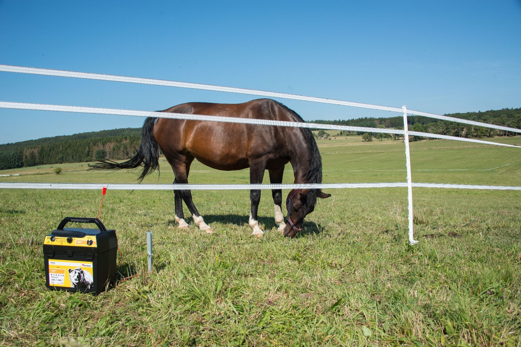 Dual energiser RANGER AN2000 HORIZONT 