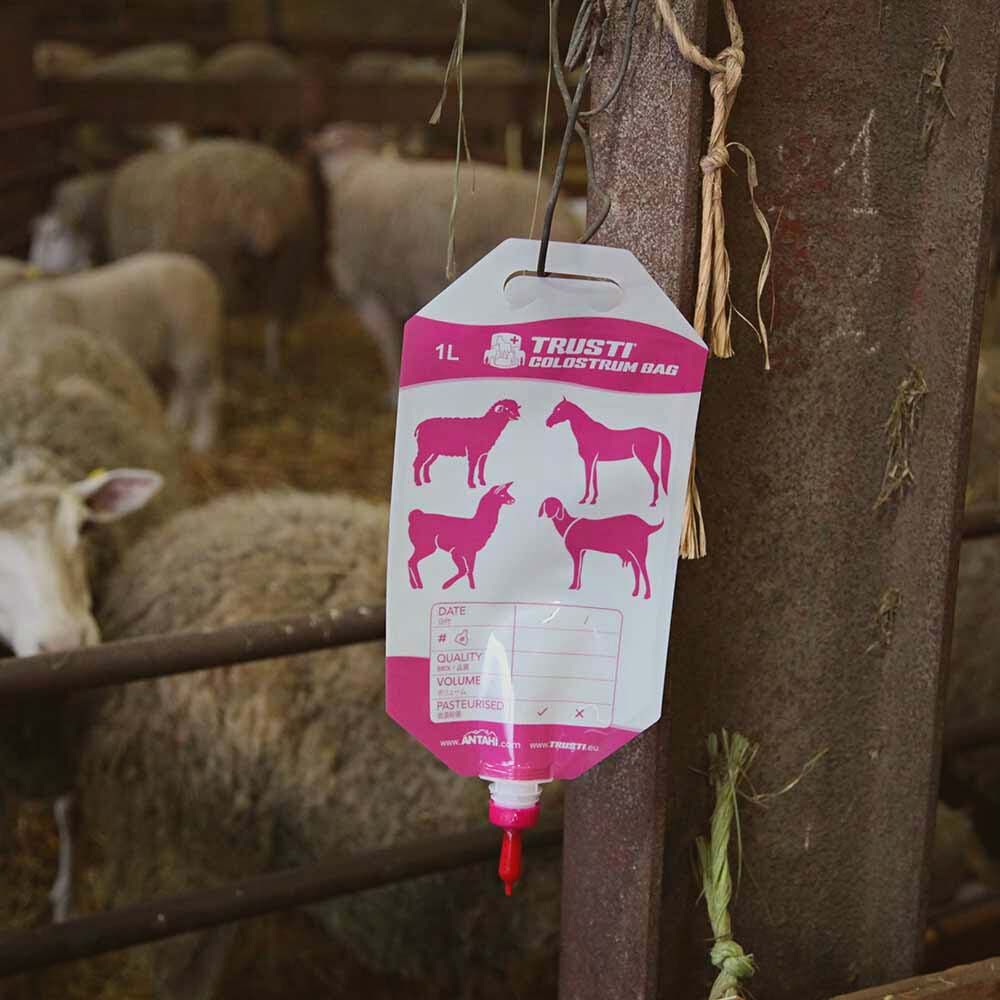 10 sacs pour colostrum 1L pour agneaux ANTAHI