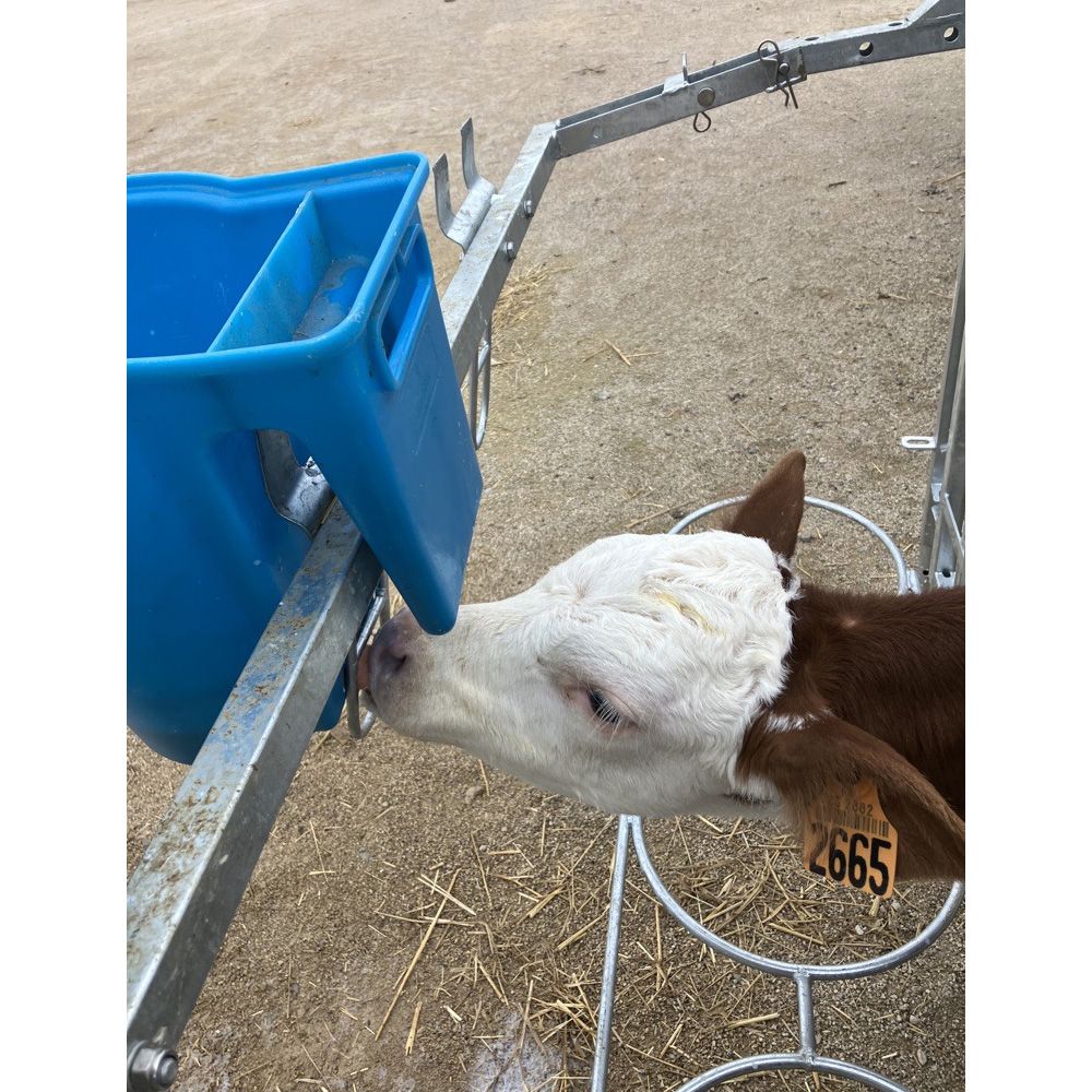 Tränkewanne RFC1 6L von STALLION