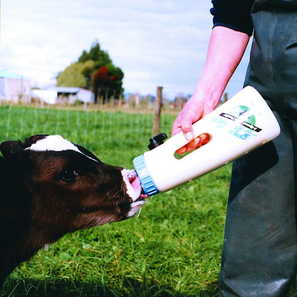 Calf feeder SPEEDY FEEDER 4 L SHOOF