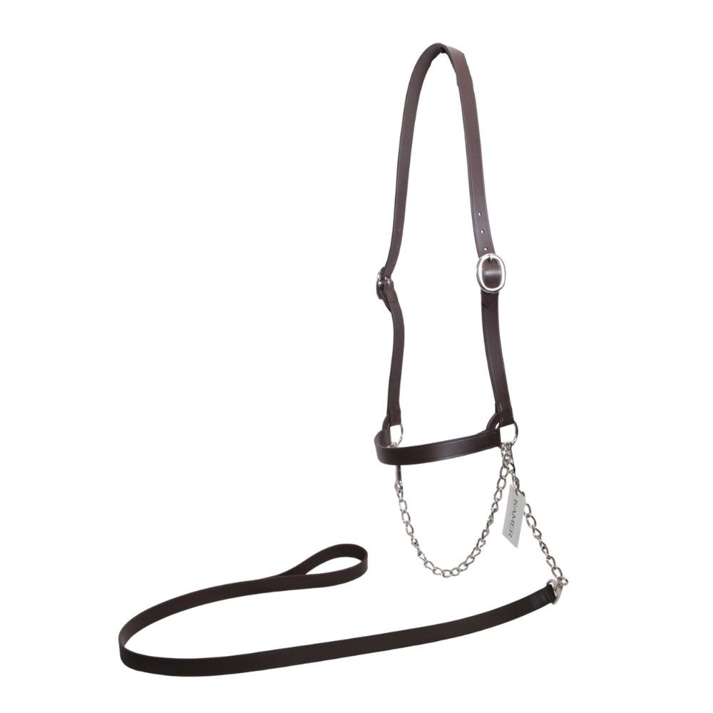  American brown leather halter for dairy cows KAMER