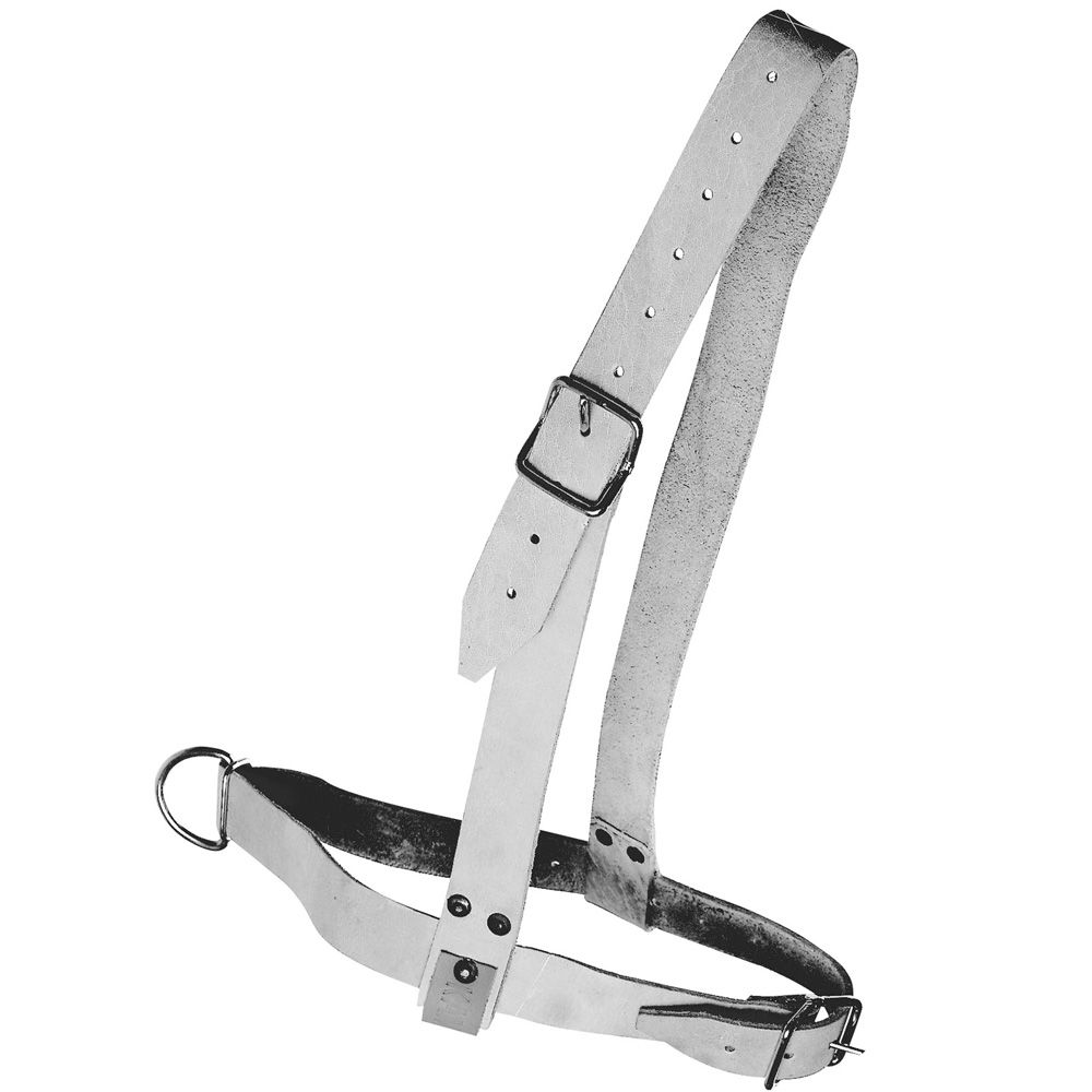 Licol en cuir gris pour taureau