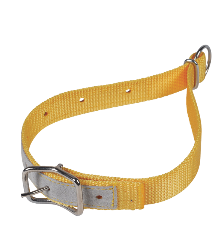 Collier mouton nylon jaune