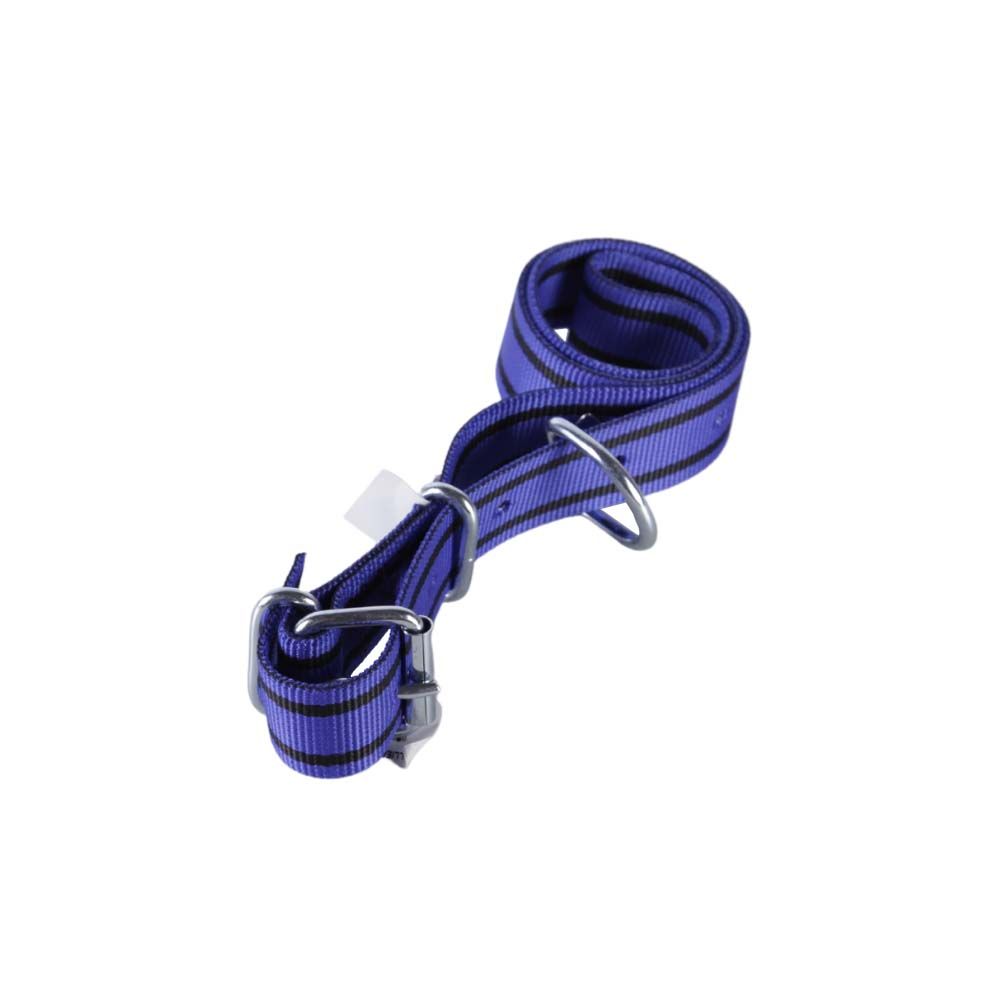 Double thickness nylon collars blue