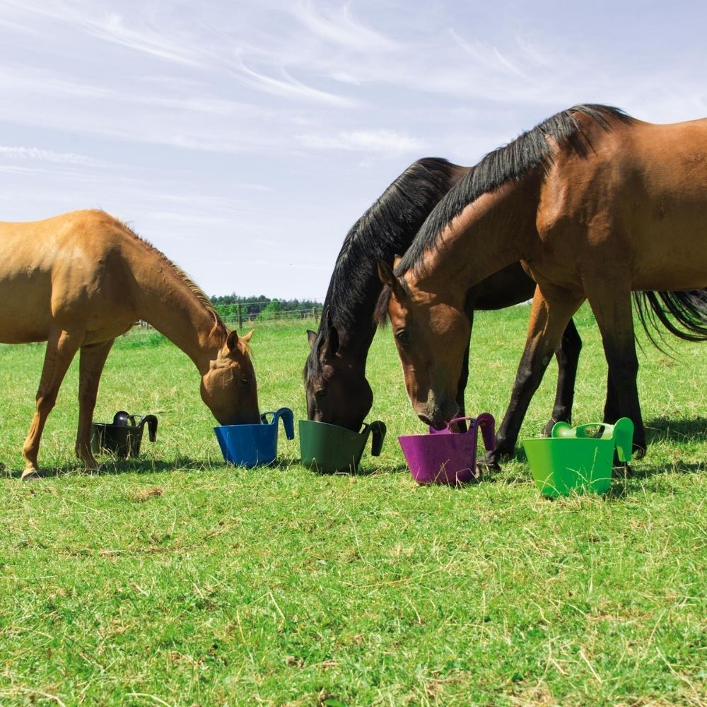 Mangeoire portative en plastique 13,5 L