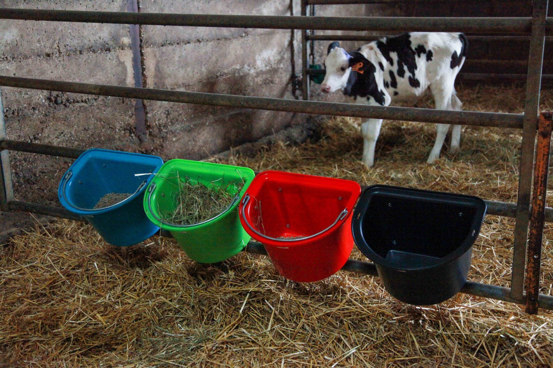 Tragbarer Futtertrog aus Kunststoff