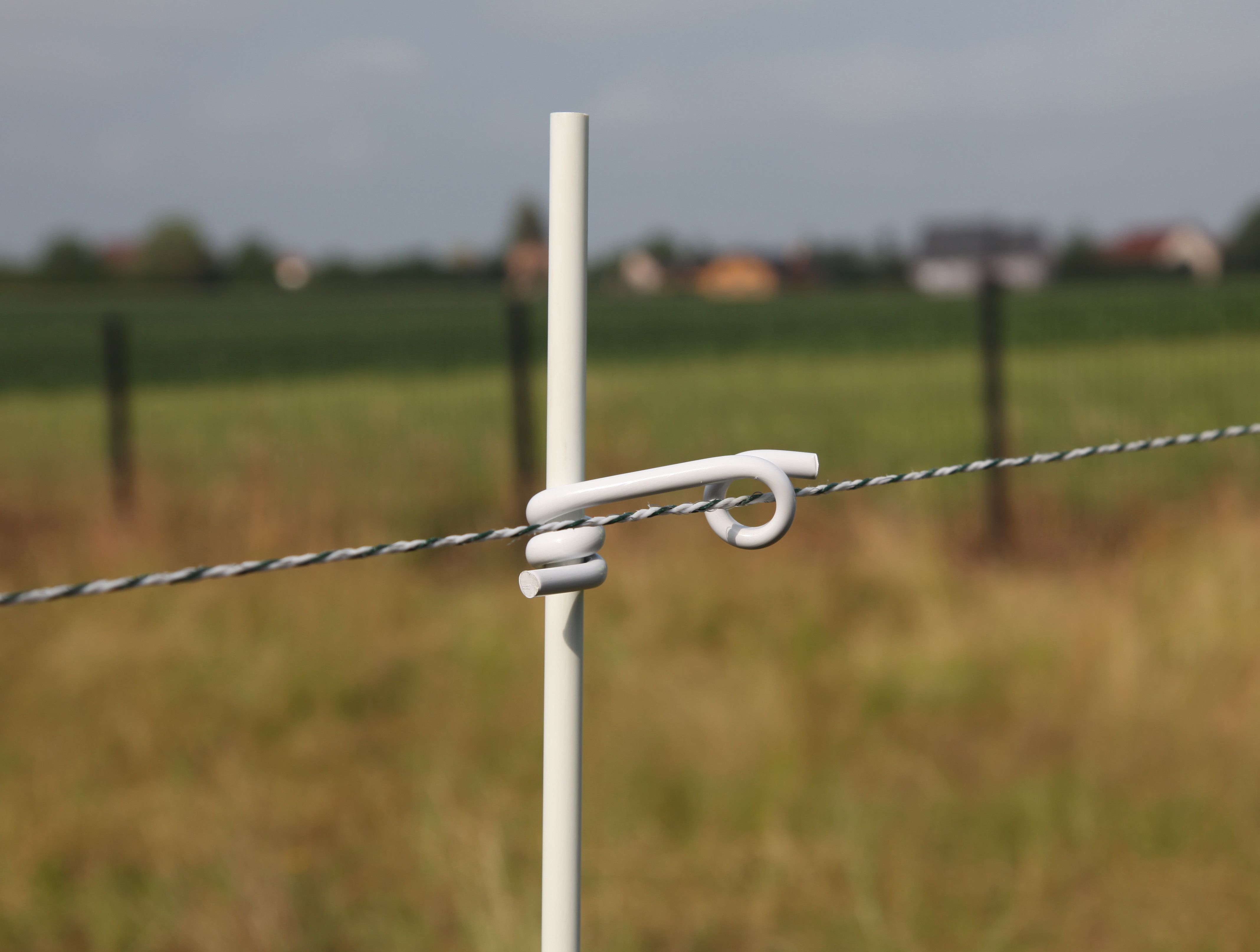 Schweineschwanzisolator 10Mm X50