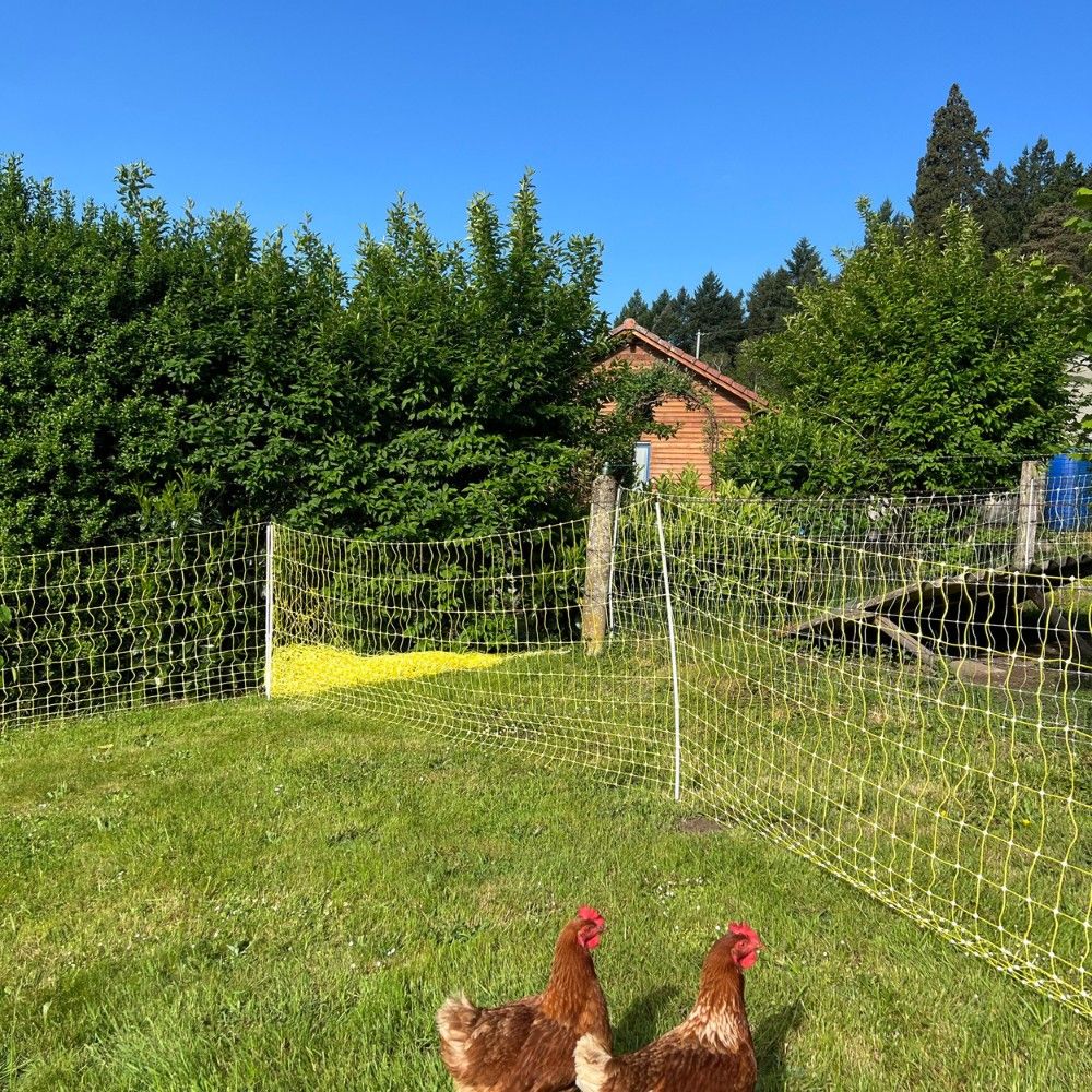 Geflügelnetz 1,12M 50m BEAUMONT