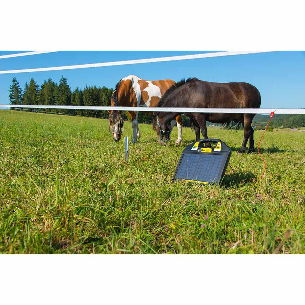 horizont 12 V Solar Weidezaungerät - trapper® AS50