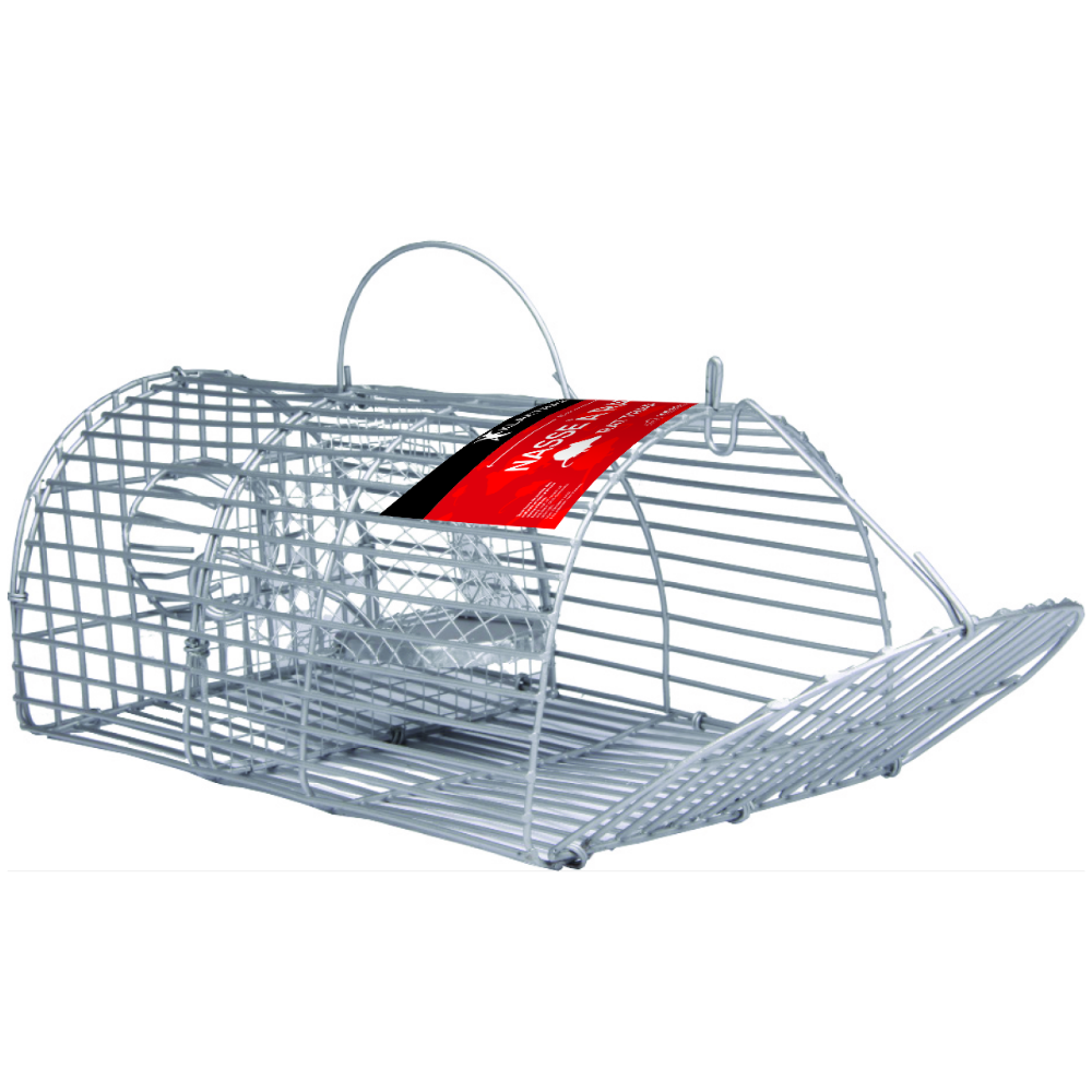 Choisir un piège à rats : nasse, piège électrique, cage, plaque à glu