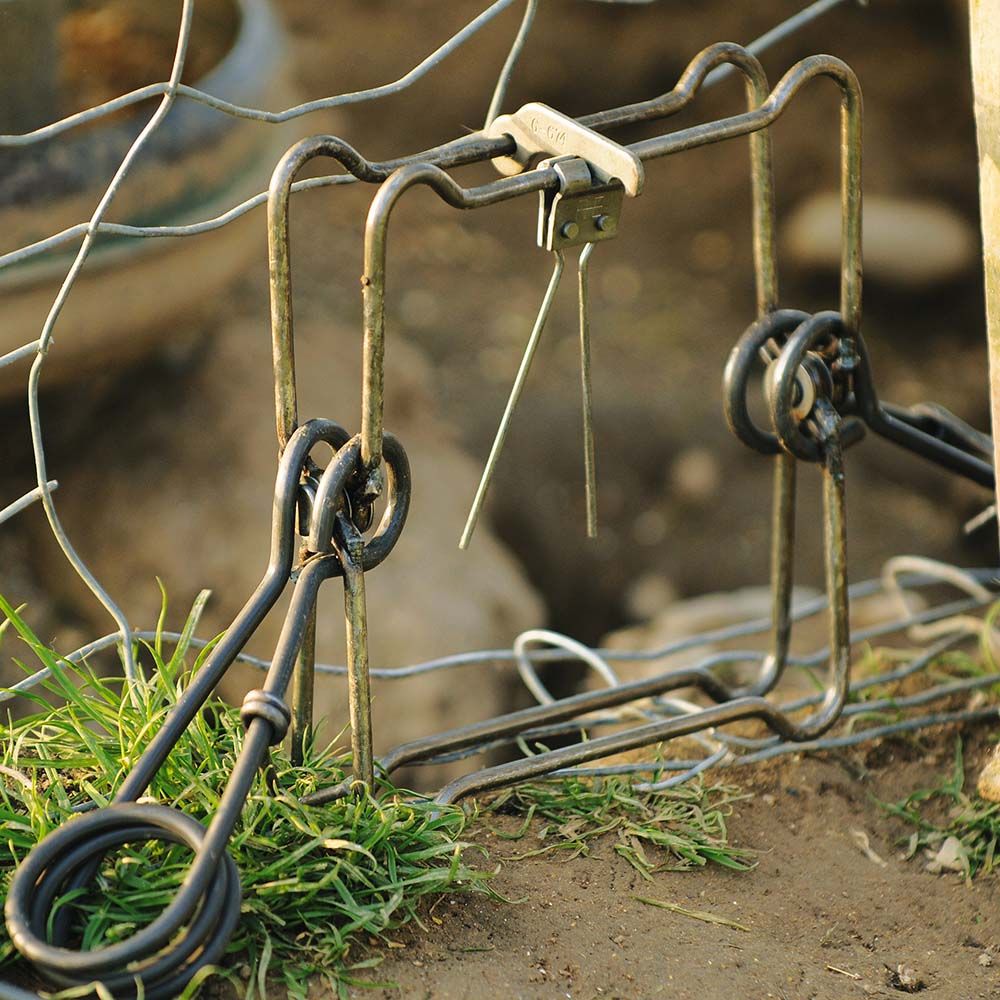 Piège en X 13 cm avec 2 ressorts non emballé