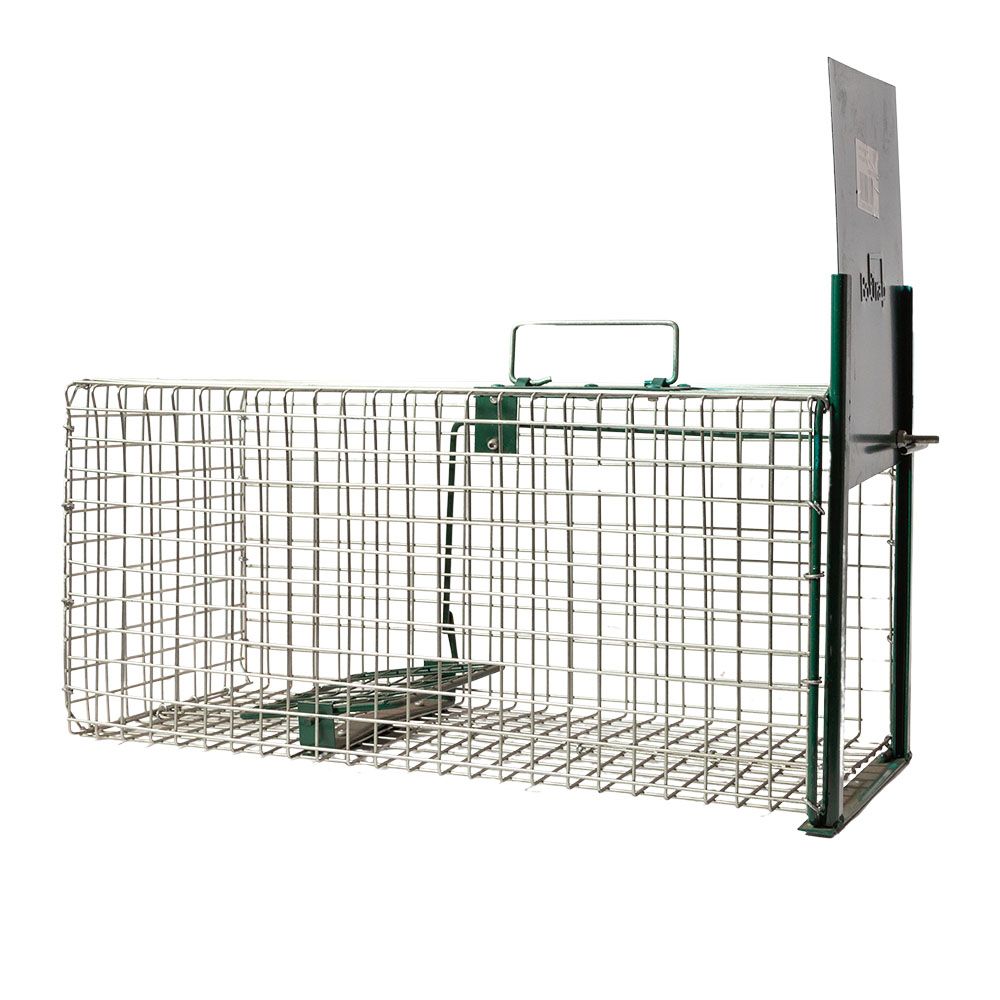 Cage à rats 1 entrée, 49 x 22 x 23 cm BOXTRAP