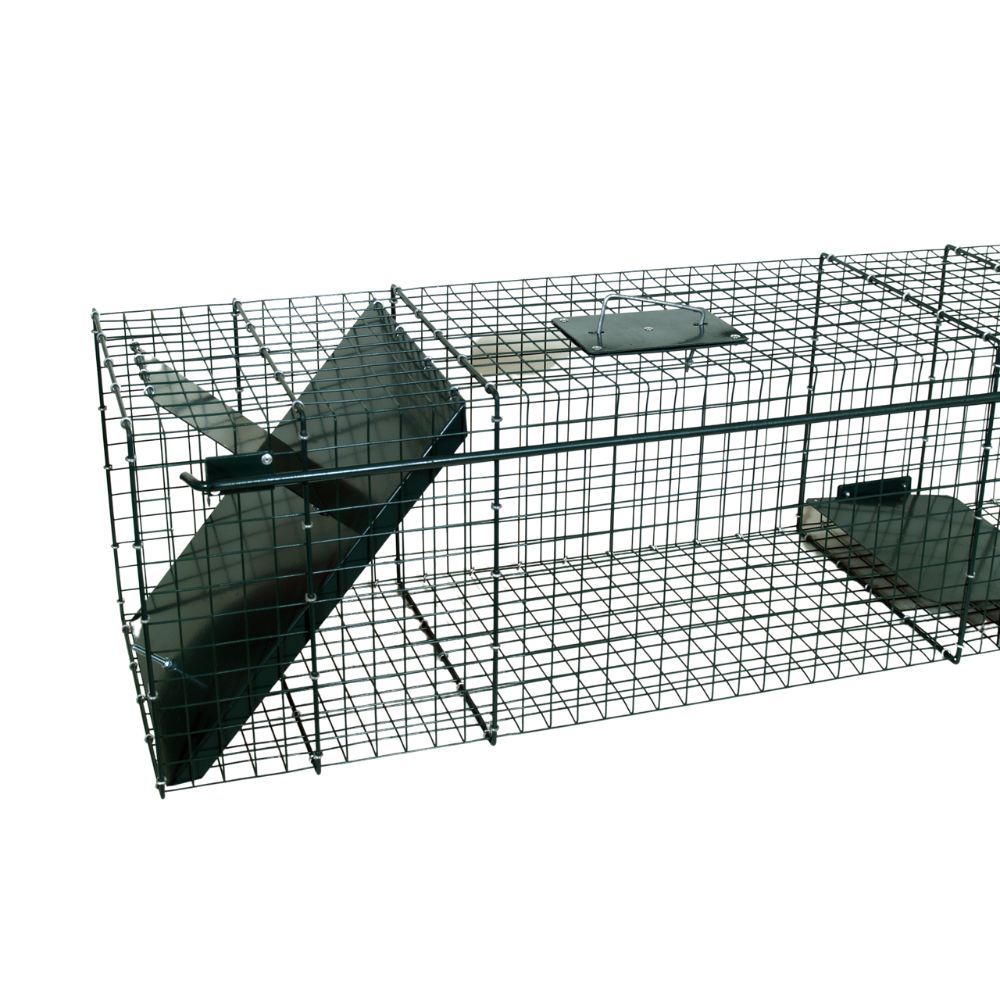 Waschbärfalle 1 Eingang, 100 x 30 x 30 cm BOXTRAP