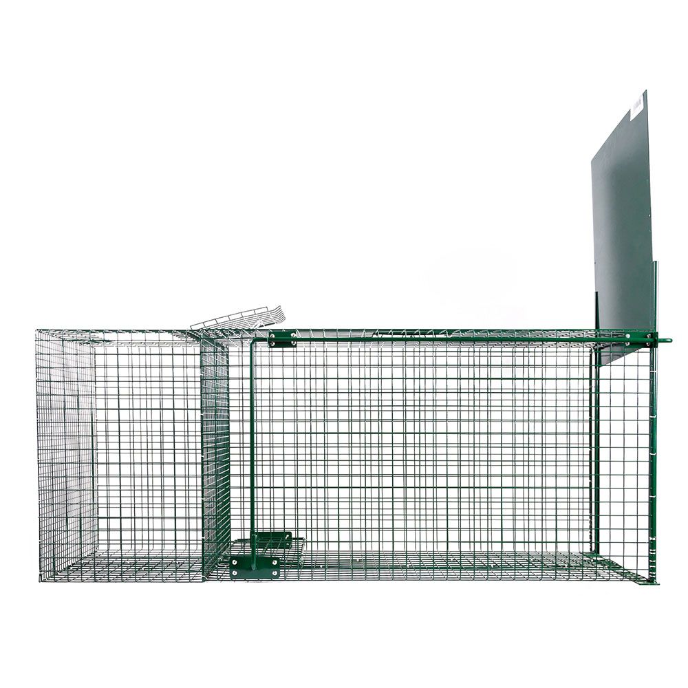 Raubtierfalle 1 Eingang, 127 x 36 x 47 cm BOXTRAP