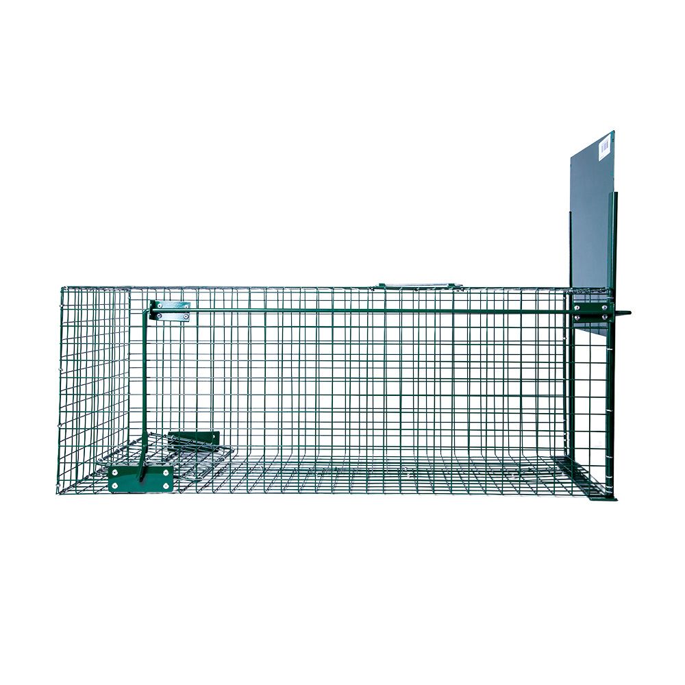  Boîte à fauve 1 entrée, 82 x 32 x 31 cm BOXTRAP