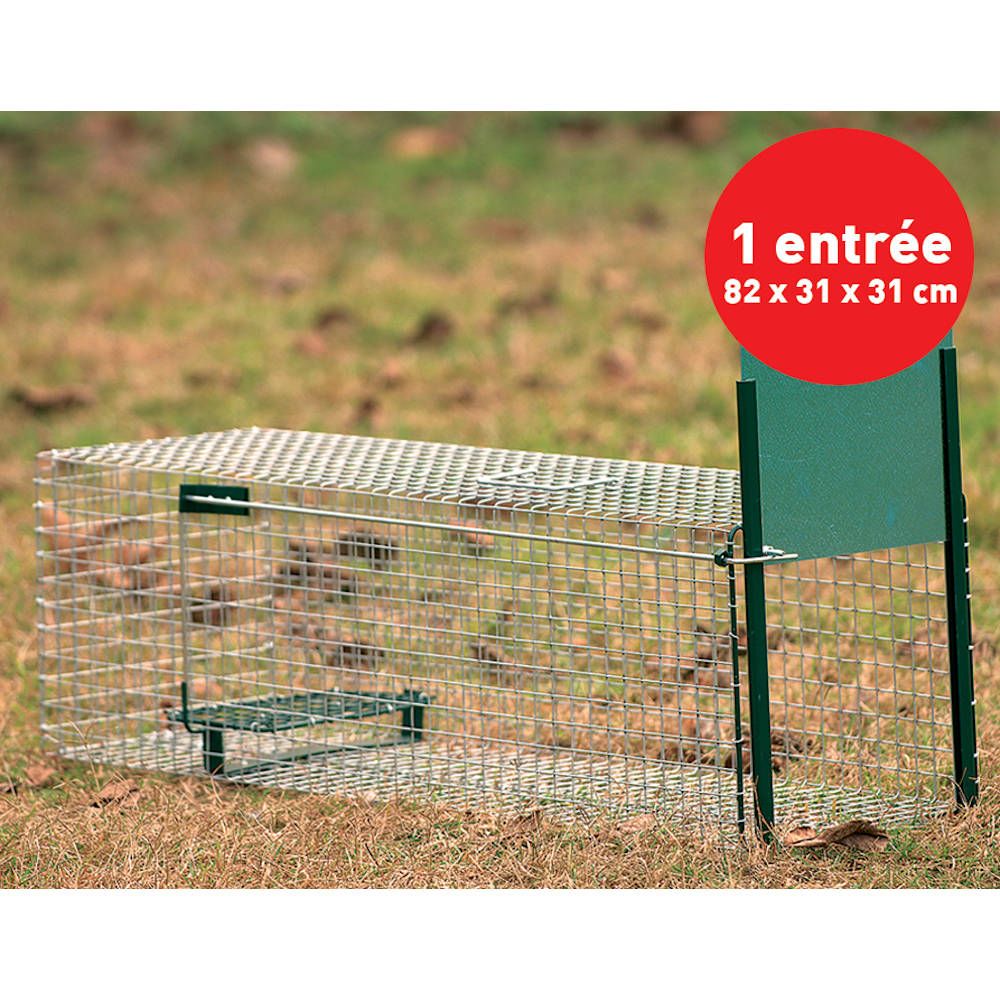  Boîte à fauve 1 entrée, 82 x 32 x 31 cm BOXTRAP