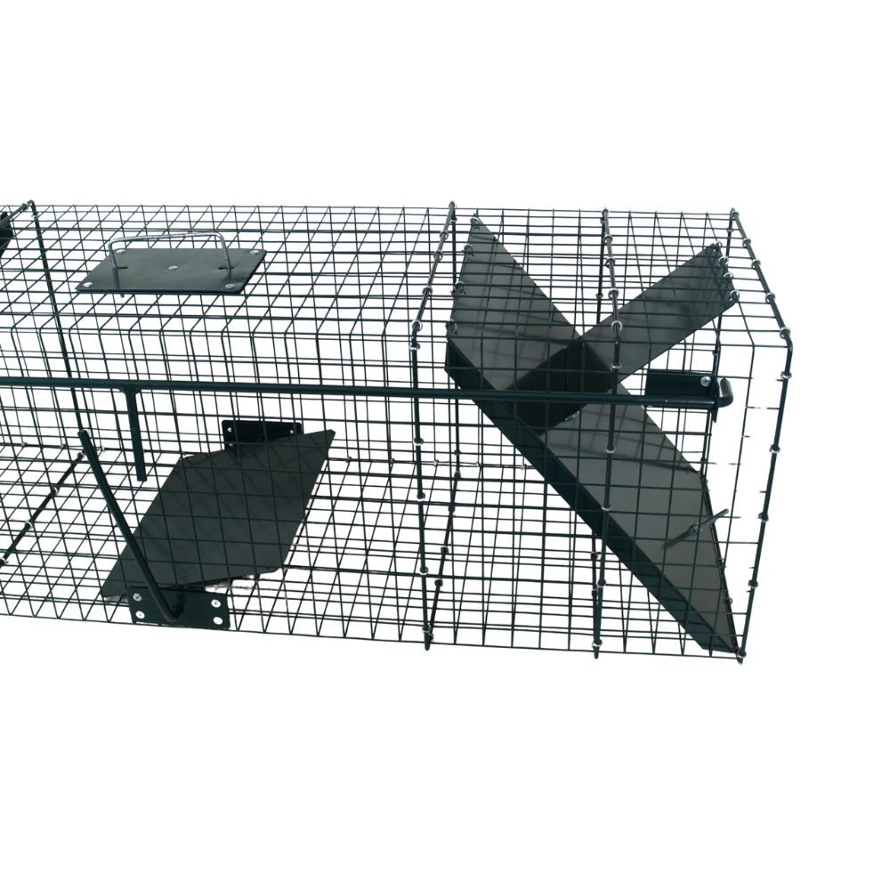 Piège pour raton laveur 2 entrées, 100 x 30 x 30 cm BOXTRAP