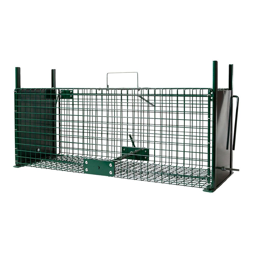 Boîte à fauve 2 portes, 64 x 21 x 21 cm BOXTRAP