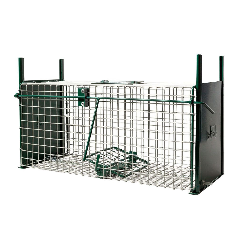 Rat cage with slide, 2 entries, 50 x 21 x 22,5 cm BOXTRAP