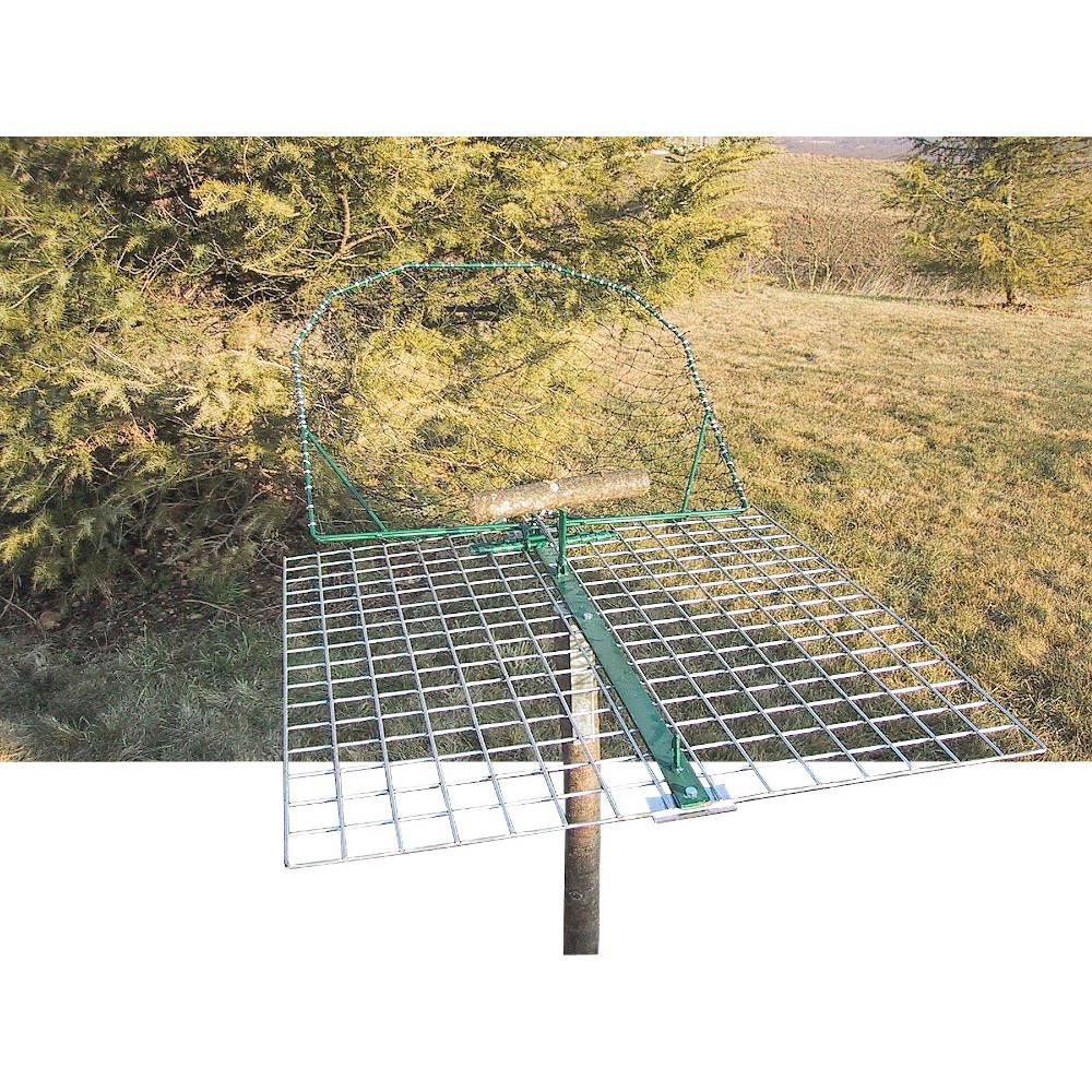 Bird traps, large model BOXTRAP