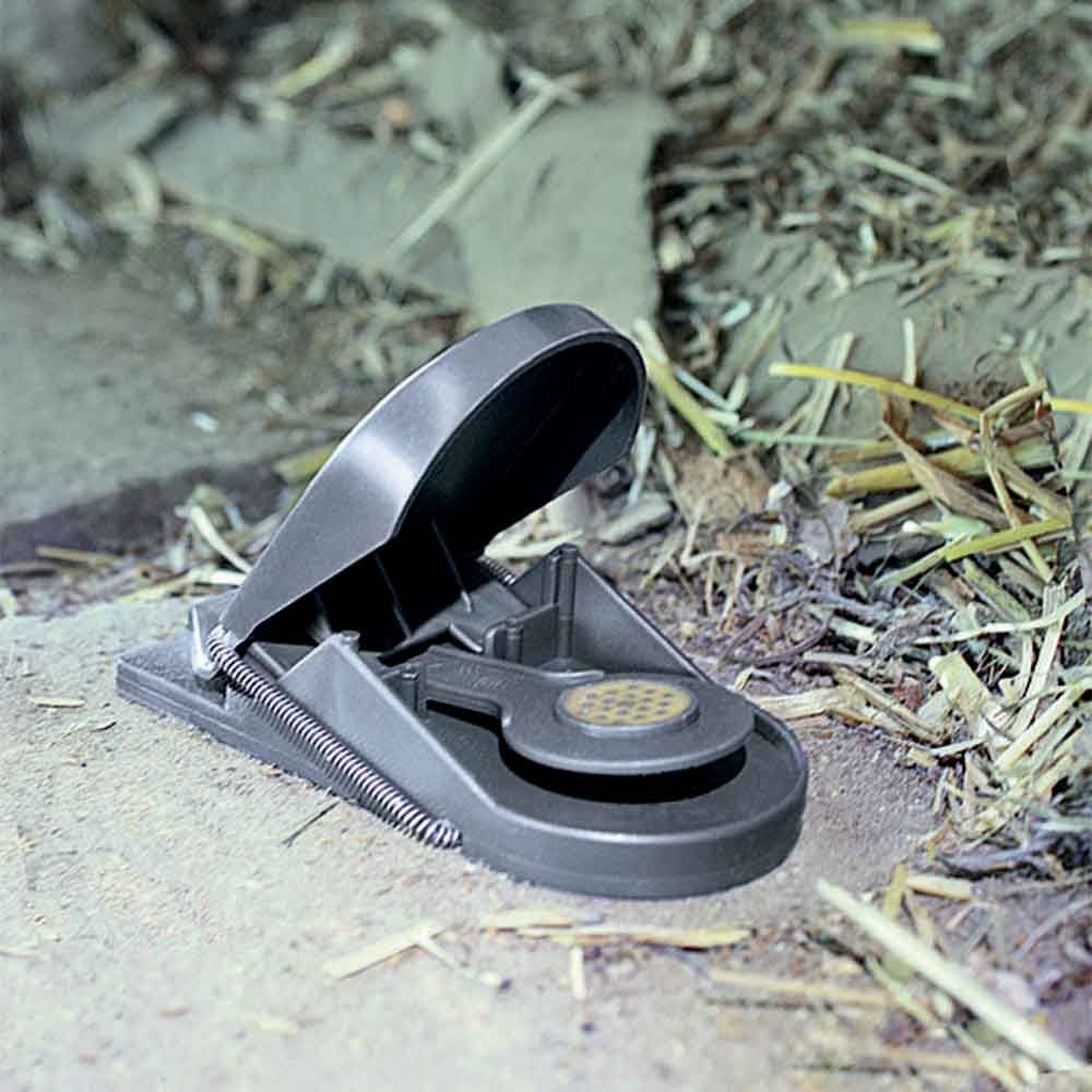 8*2 Pièges à souris SUPERCAT - SWISSINNO