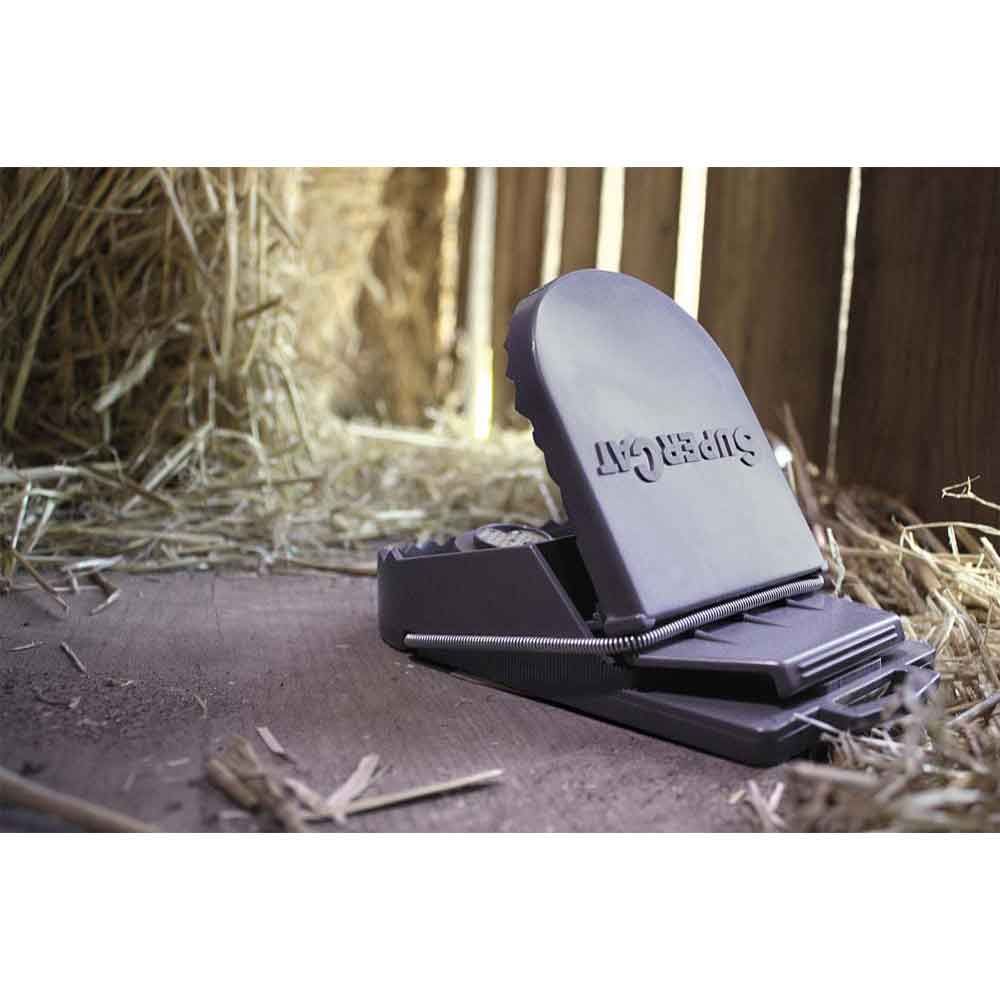 12 Rat traps SUPERCAT