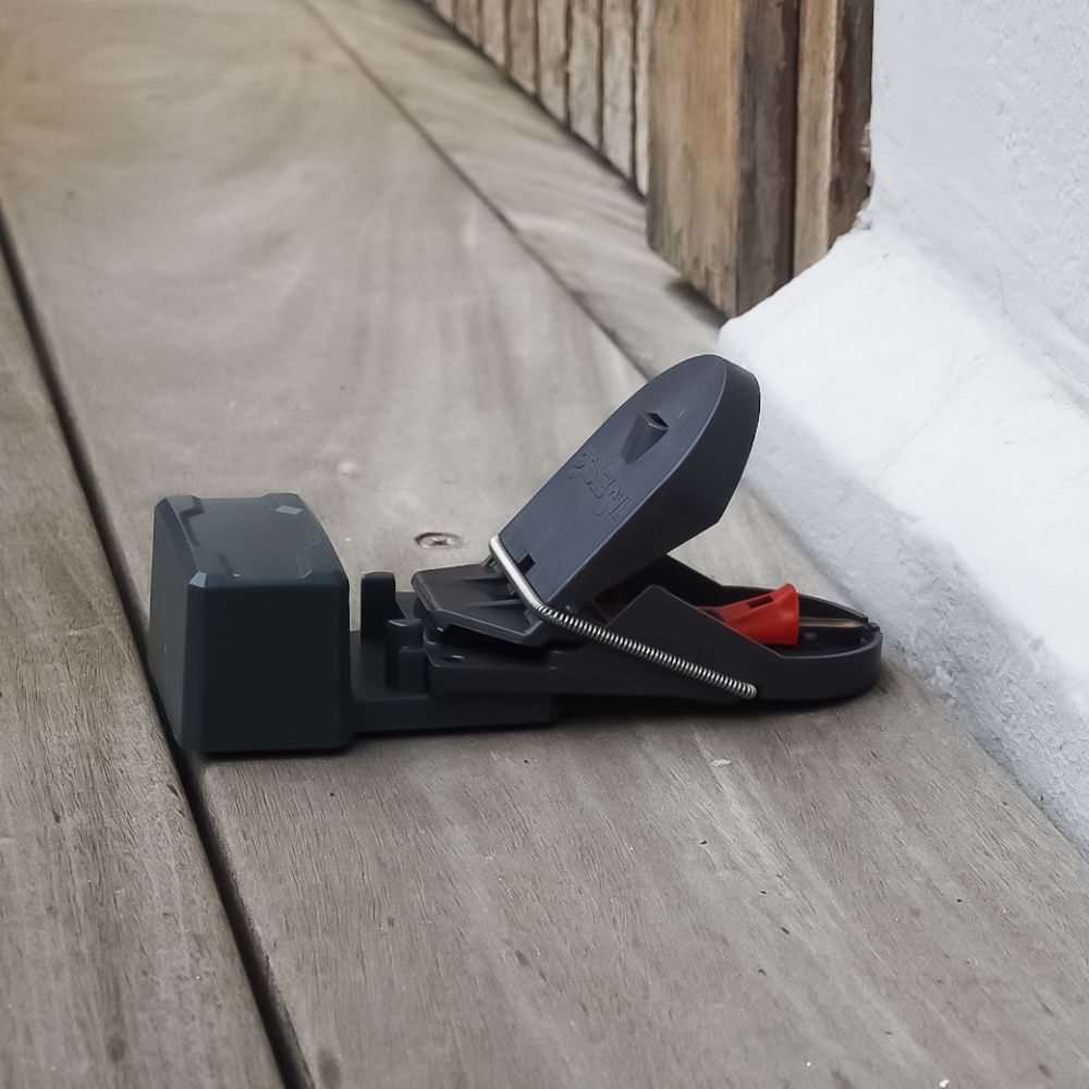 Détecteur de capture Connect SuperCat SWISSINNO