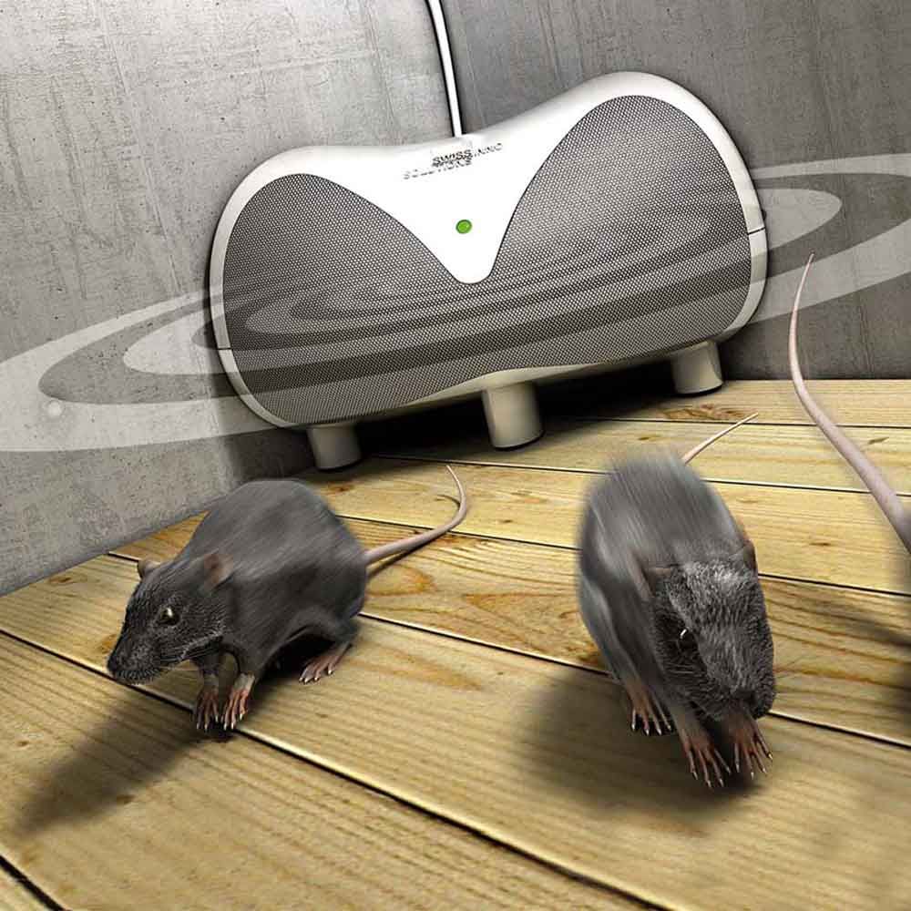 Rpulsifs Ultrason Rongeur Souris Rat - Prises Rpulsif Nuisible Esthtique  Lectronique Intrieur Naturel Bio Anti-rongeurs Furet Fouine Loir Grenier  Voit
