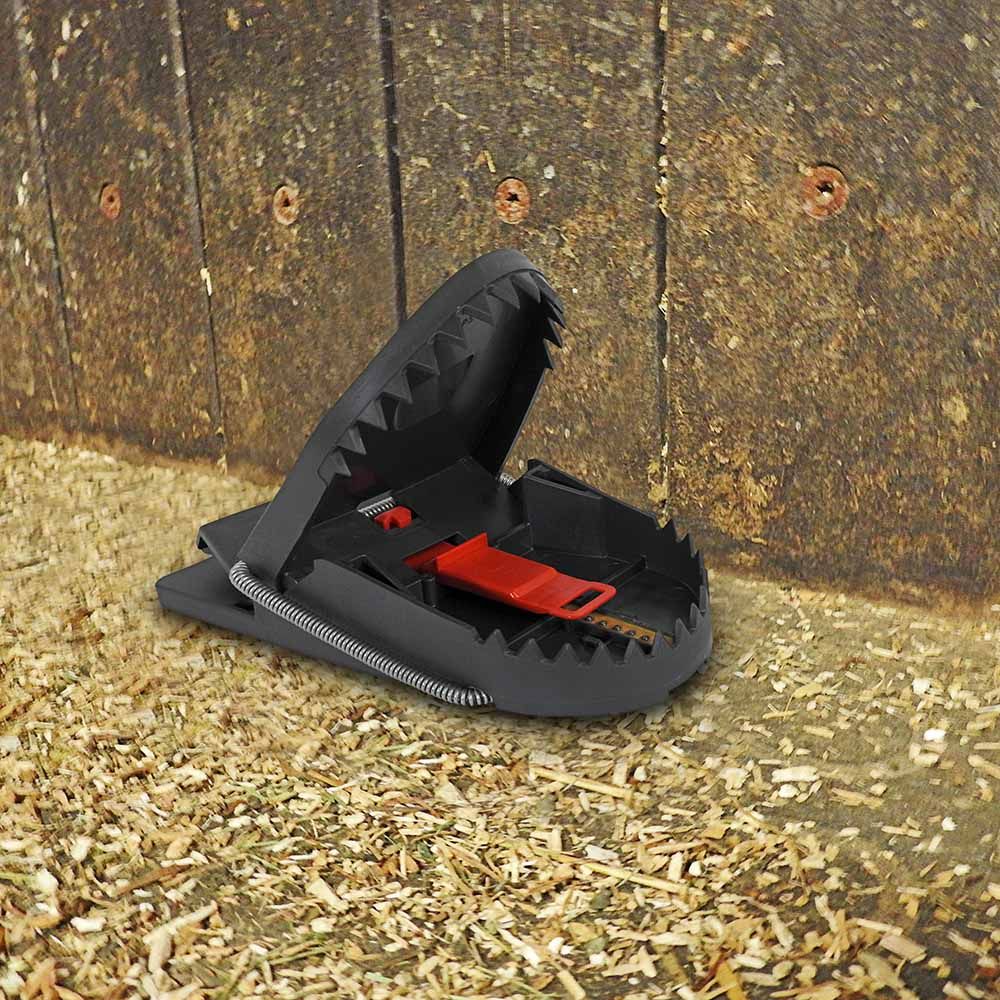 25 SUPERCAT PRO rat traps SWISSINNO 