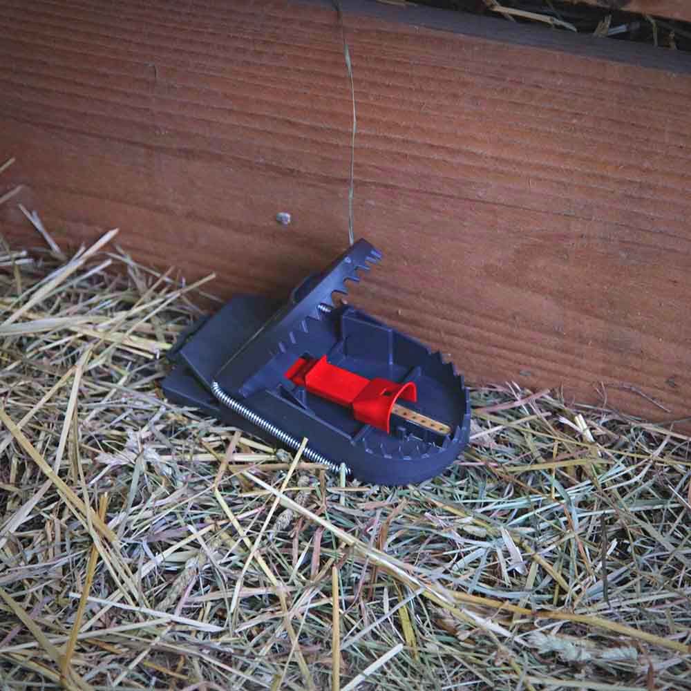 12 Rat traps SUPERCAT