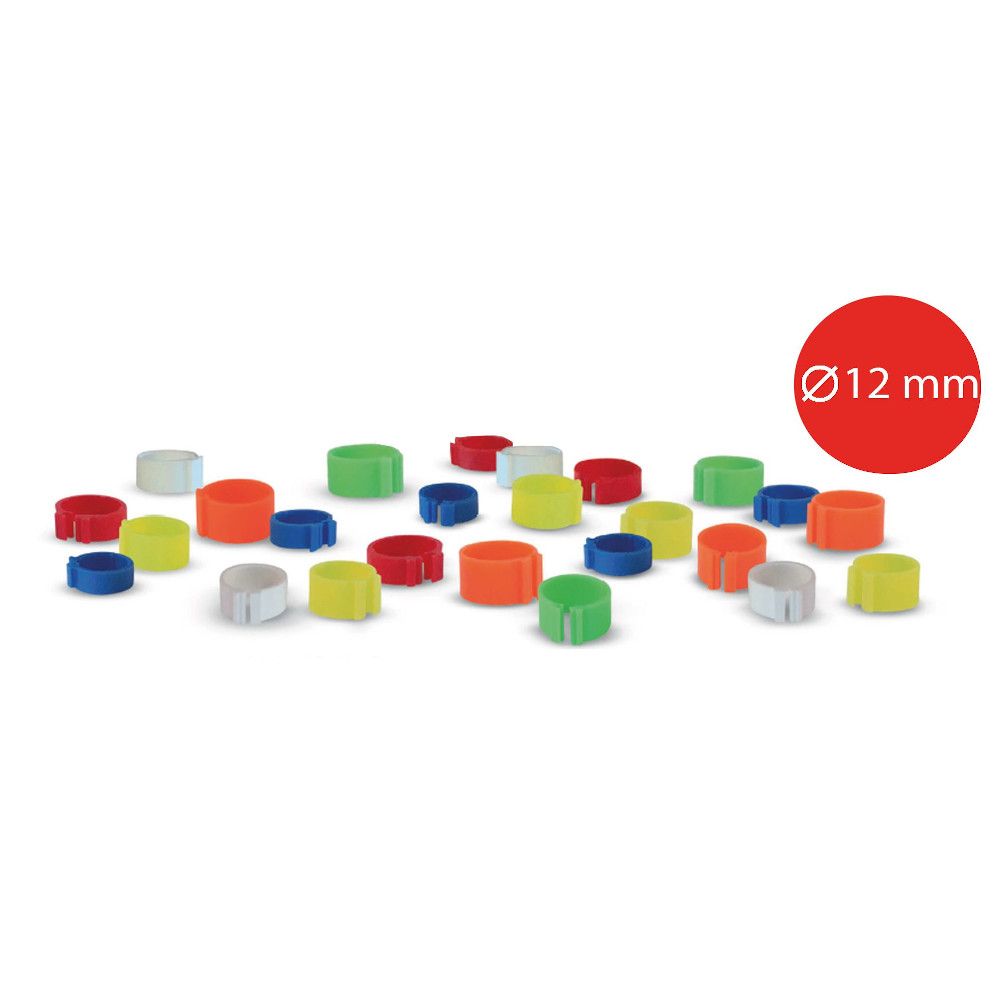 bague de marquage à clips pour poule et coq